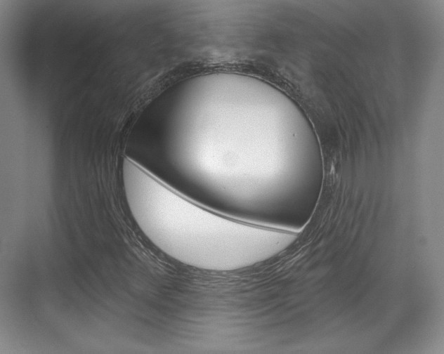 X0000071801348200606300959