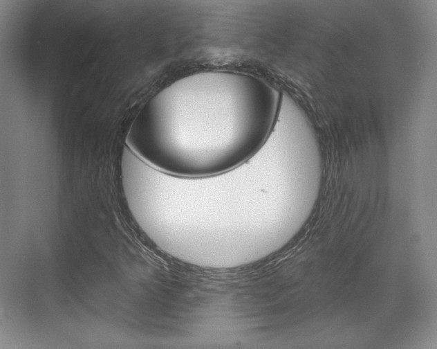 X0000071801349200606300959