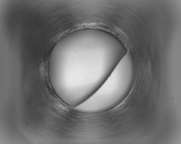 X0000071801353200606300959