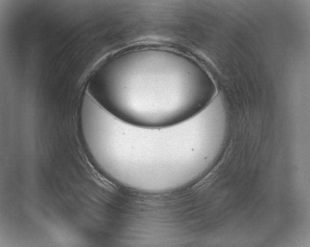 X0000071801355200606300959