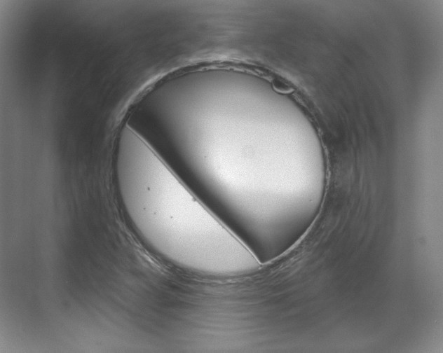 X0000071801359200606300959