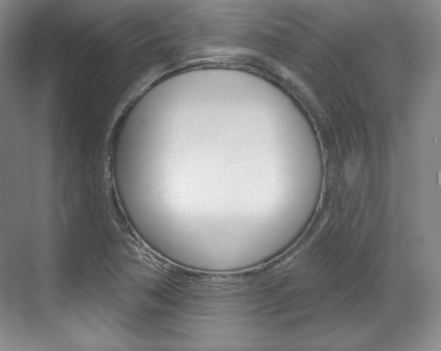 X0000071801362200606300959