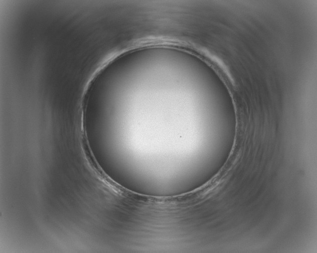 X0000071801365200606300959