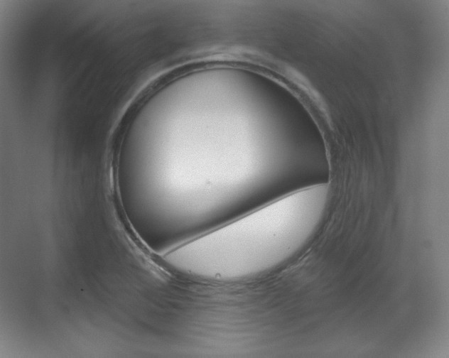 X0000071801368200606300959