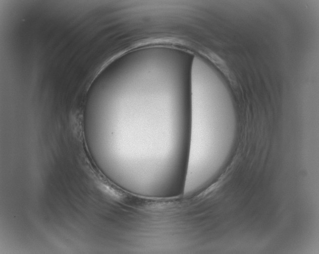 X0000071801369200606300959