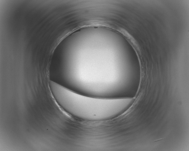 X0000071801385200606300958