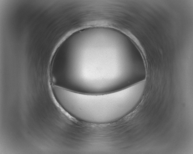 X0000071801389200606300958