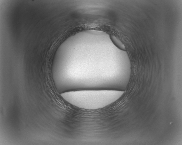 X0000071801393200606300957