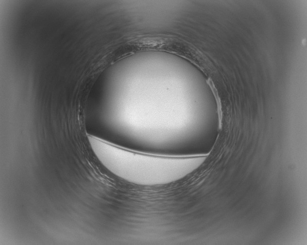 X0000071801394200606300957
