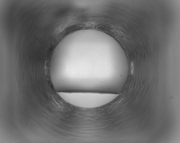 X0000071801395200606300957