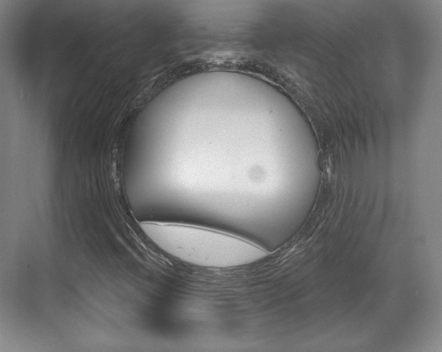 X0000071801396200606300957