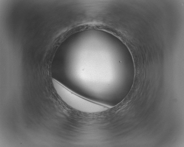 X0000071801398200606300958