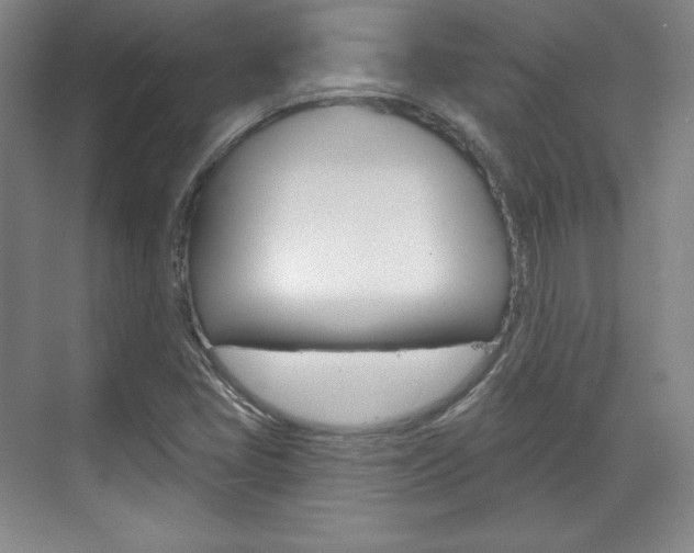 X0000071801405200606300958