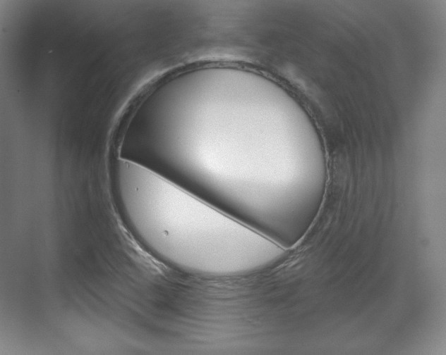 X0000071801408200606300958
