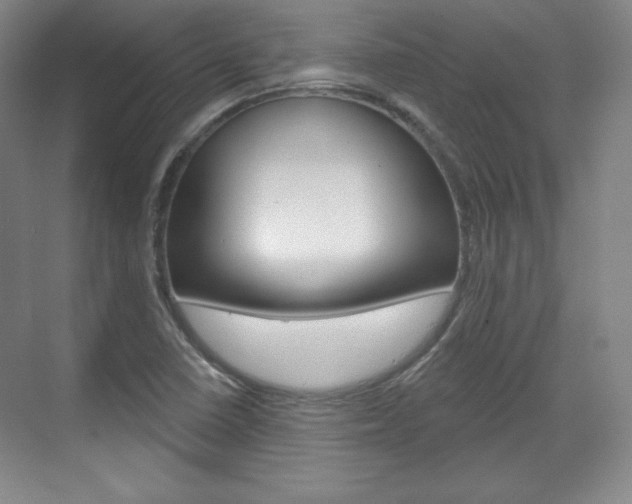 X0000071801410200606300958