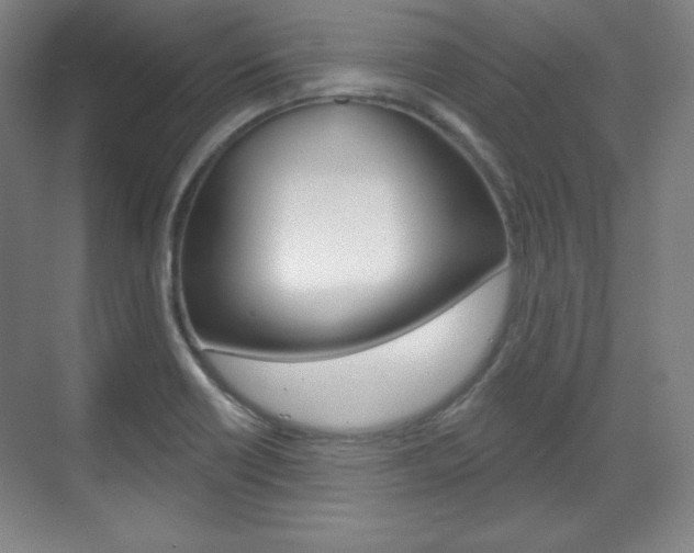 X0000071801418200606300958