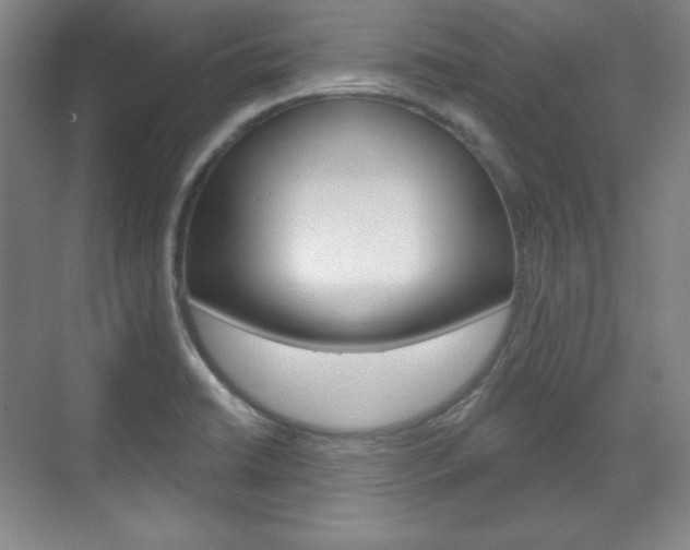 X0000071801422200606300958