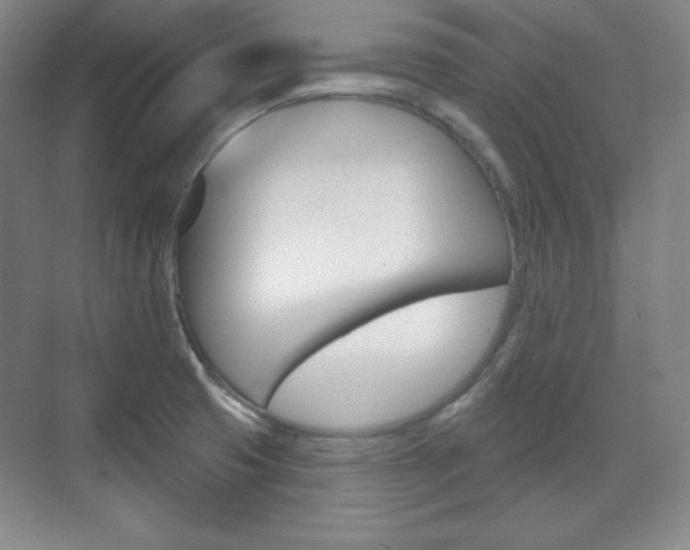 X0000071801425200606300958