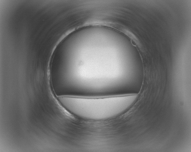 X0000071801428200606300958