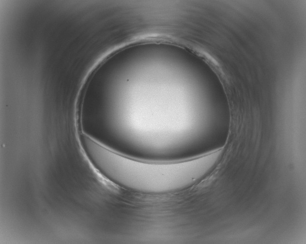 X0000071801430200606300958
