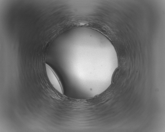 X0000071801442200606300957