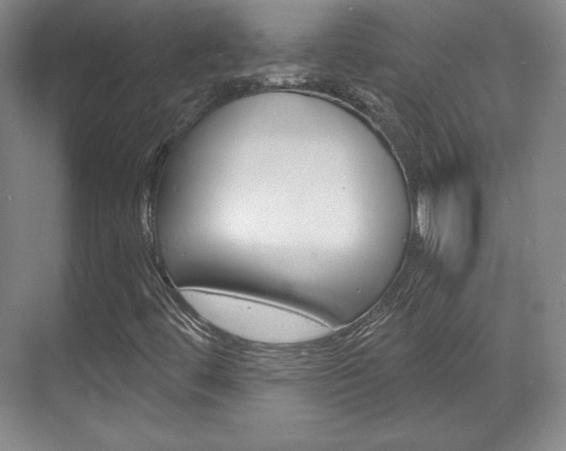 X0000071801444200606300957