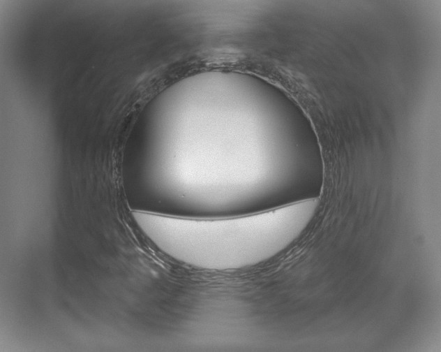 X0000071801445200606300957