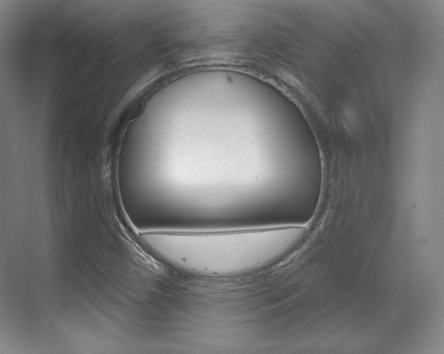 X0000071801450200606300957