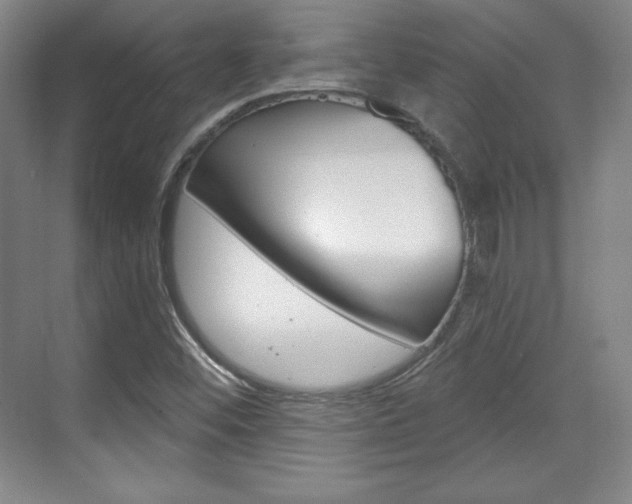 X0000071801452200606300957