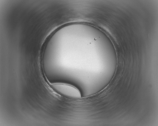 X0000071801460200606300957