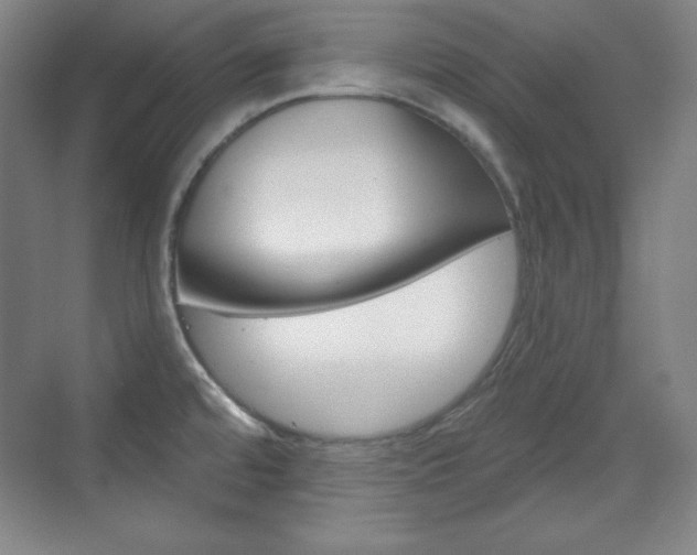 X0000071801480200606300957