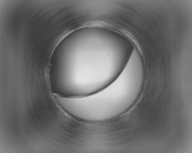 X0000071801481200606300957