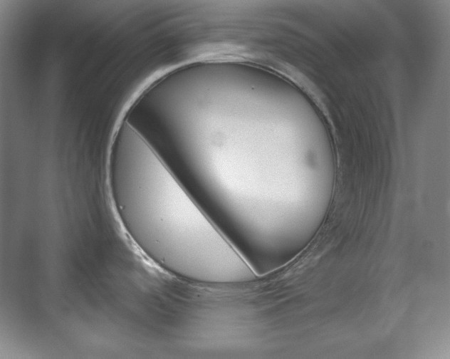X0000071801488200606300957