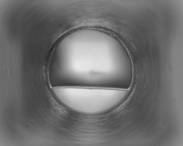X0000071801497200606300956