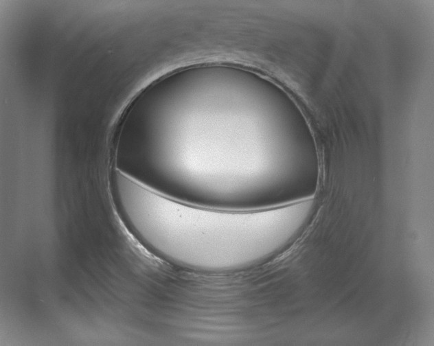 X0000071801500200606300956