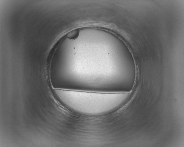 X0000071801501200606300956