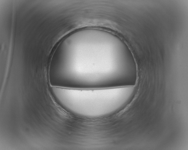 X0000071801505200606300956