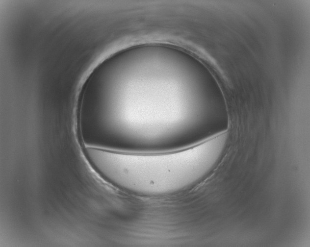 X0000071801512200606300956