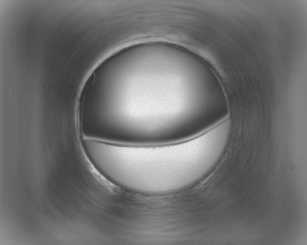 X0000071801516200606300956