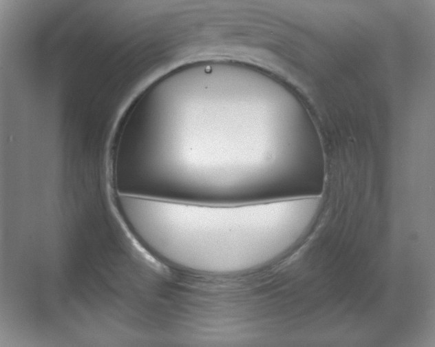 X0000071801517200606300956