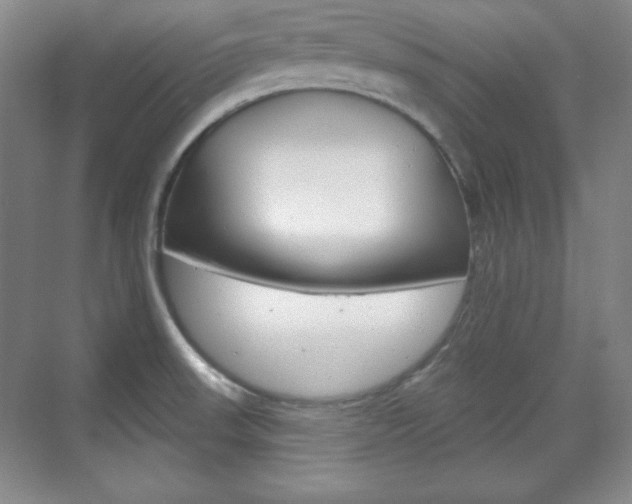 X0000071801523200606300956