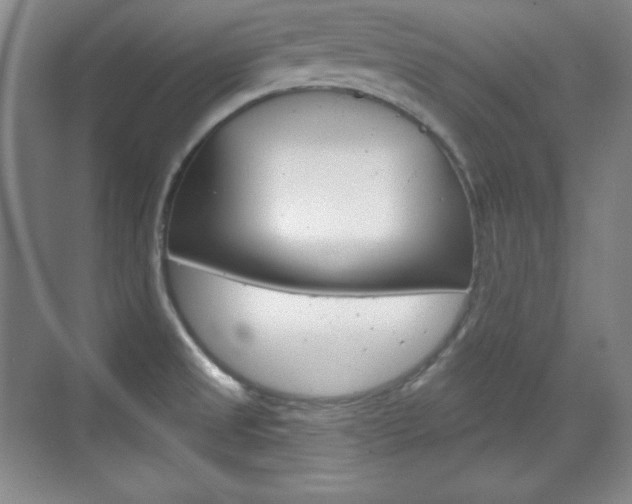 X0000071801525200606300956