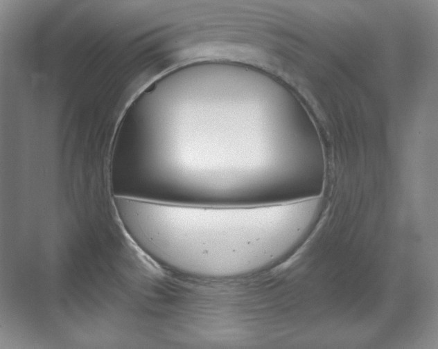 X0000071801529200606300957