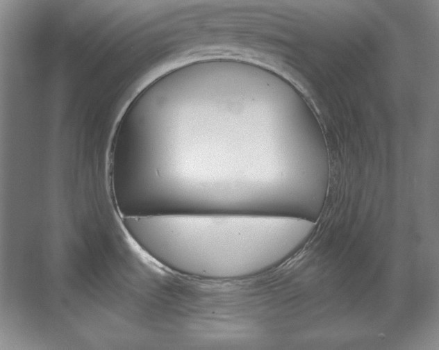 X0000071801535200606300957