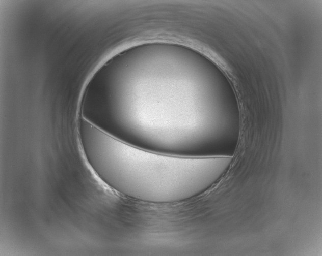 X0000071801536200606300957
