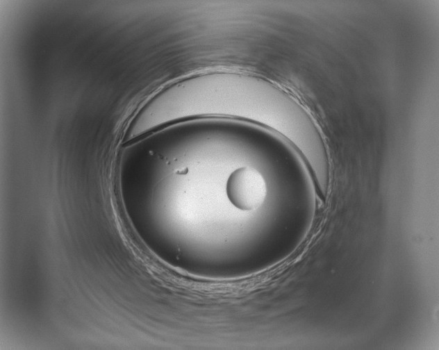 X0000071800001200606301213