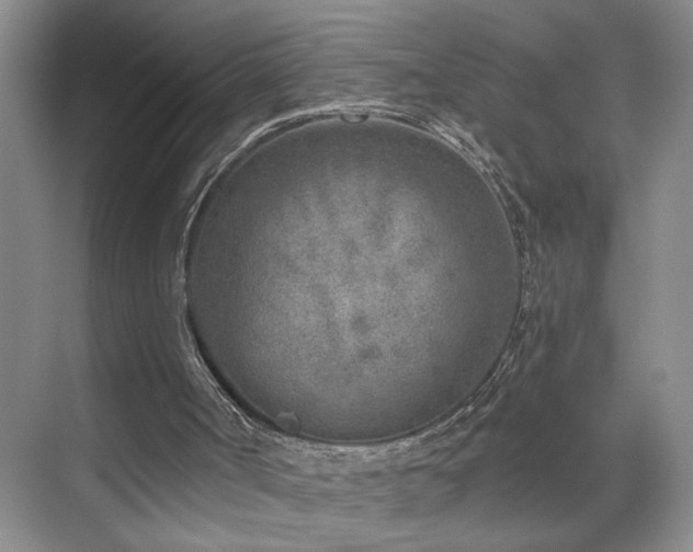 X0000071800002200606301213