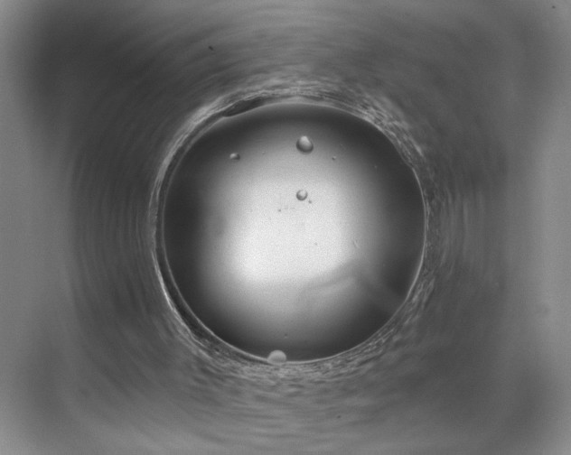 X0000071800003200606301213