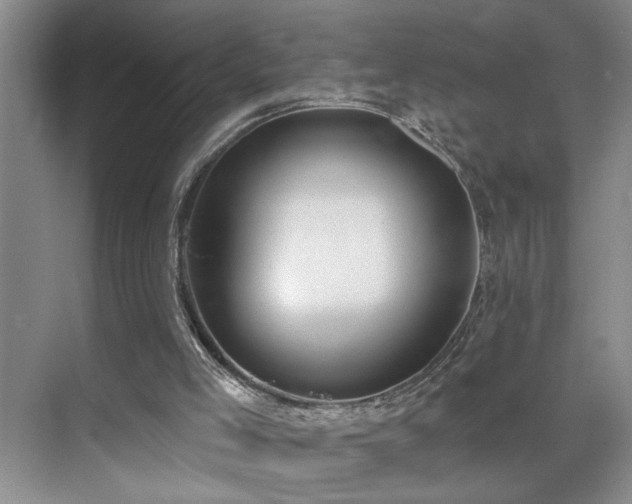 X0000071800005200606301213