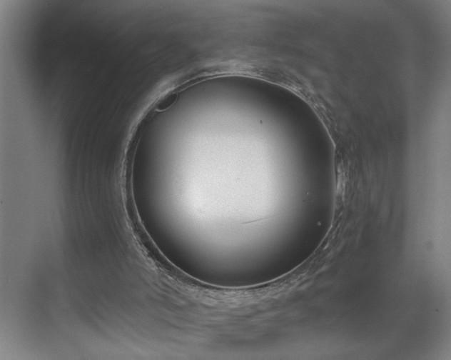 X0000071800006200606301213